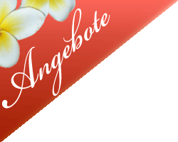 Angebote